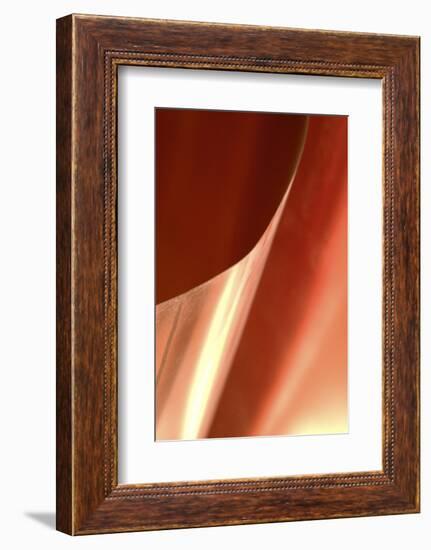 Copper Curves II-Karyn Millet-Framed Photographic Print