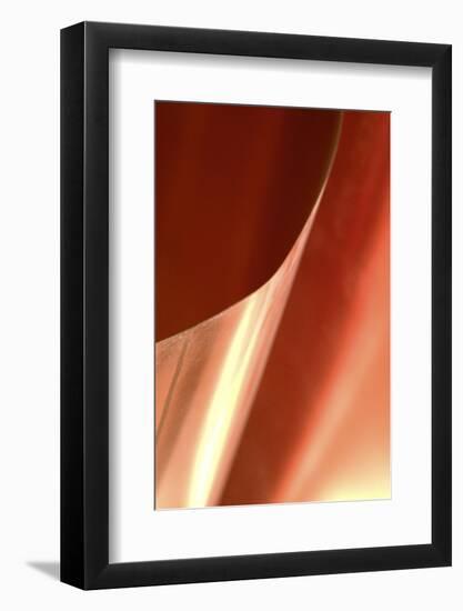 Copper Curves II-Karyn Millet-Framed Photographic Print