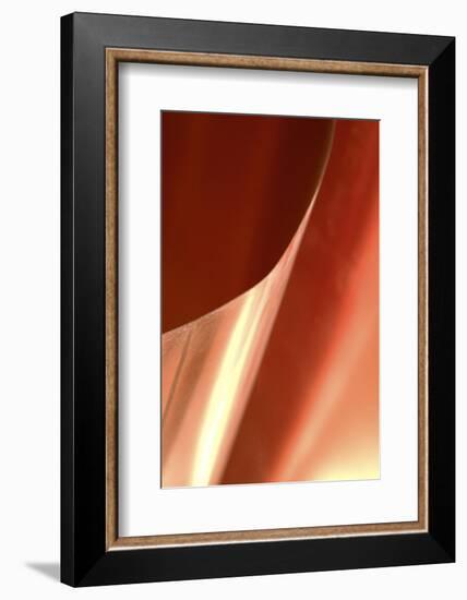 Copper Curves II-Karyn Millet-Framed Photographic Print