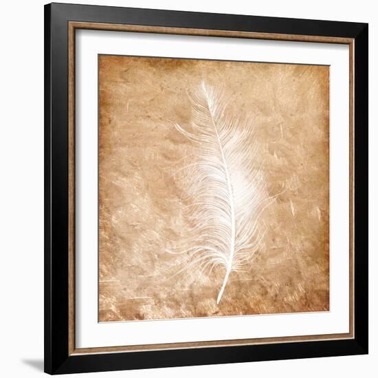 Copper Feathered 1-Kimberly Allen-Framed Art Print