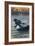 Copper Harbor, Michigan - Loon Family-Lantern Press-Framed Art Print