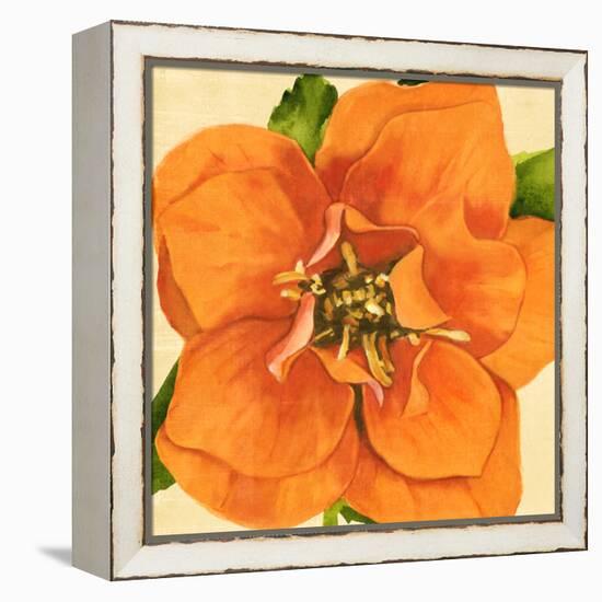 Copper Petals I-Annie Warren-Framed Stretched Canvas