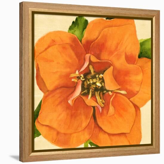 Copper Petals I-Annie Warren-Framed Stretched Canvas