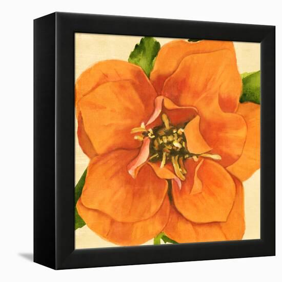 Copper Petals I-Annie Warren-Framed Stretched Canvas