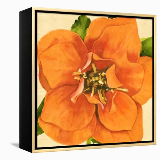 Copper Petals I-Annie Warren-Framed Stretched Canvas