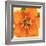 Copper Petals I-Annie Warren-Framed Premium Giclee Print