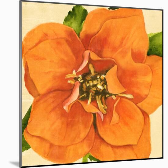 Copper Petals I-Annie Warren-Mounted Art Print