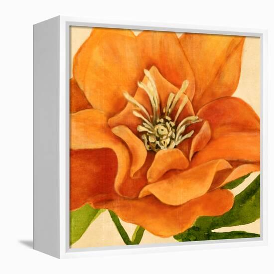 Copper Petals II-Annie Warren-Framed Stretched Canvas