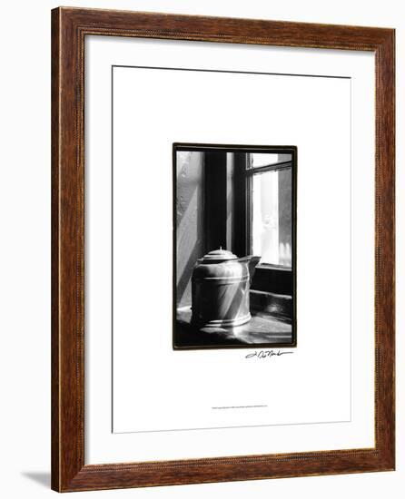 Copper Reflections-Laura Denardo-Framed Art Print