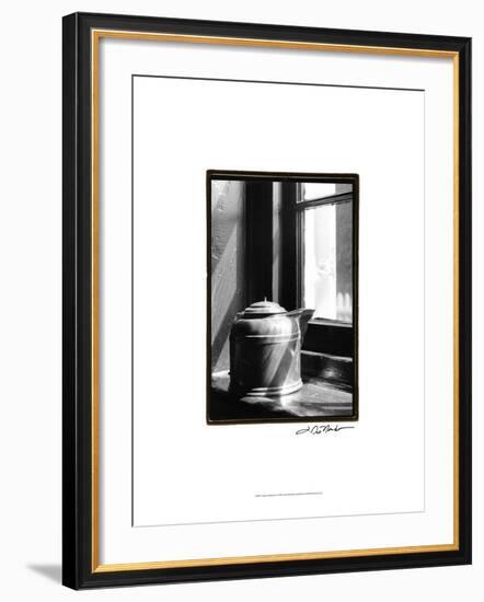 Copper Reflections-Laura Denardo-Framed Art Print