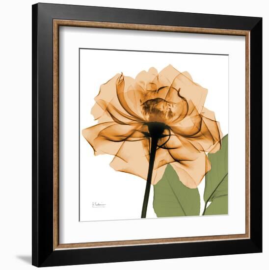 Copper Rose-Albert Koetsier-Framed Art Print