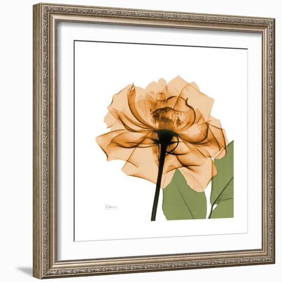 Copper Rose-Albert Koetsier-Framed Premium Giclee Print