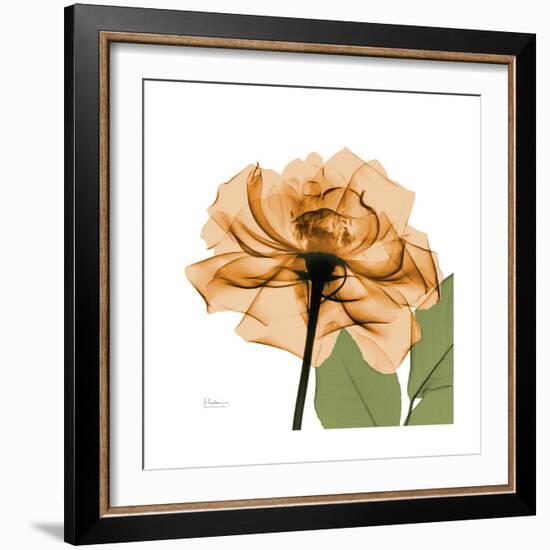 Copper Rose-Albert Koetsier-Framed Premium Giclee Print