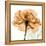 Copper Rose-Albert Koetsier-Framed Stretched Canvas