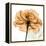 Copper Rose-Albert Koetsier-Framed Stretched Canvas