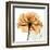 Copper Rose-Albert Koetsier-Framed Art Print