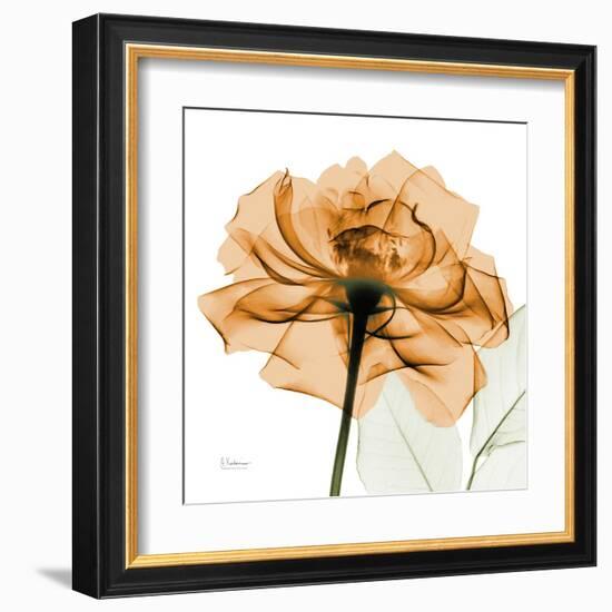 Copper Rose-Albert Koetsier-Framed Art Print