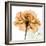 Copper Rose-Albert Koetsier-Framed Art Print