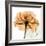 Copper Rose-Albert Koetsier-Framed Art Print