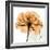 Copper Rose-Albert Koetsier-Framed Art Print