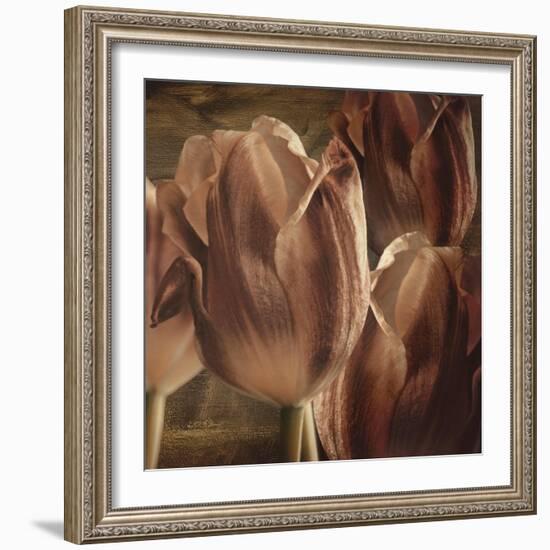 Copper Tulips-Mindy Sommers-Framed Giclee Print