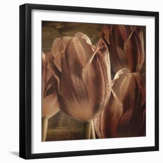 Copper Tulips-Mindy Sommers-Framed Giclee Print