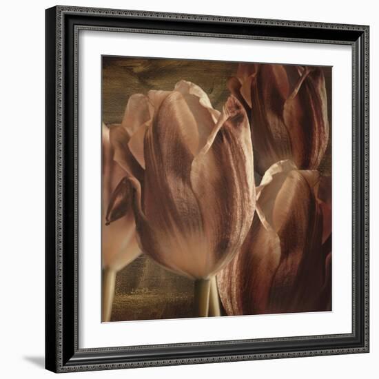 Copper Tulips-Mindy Sommers-Framed Giclee Print