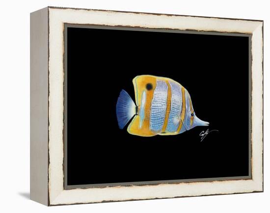 Copperband Butterfly-Durwood Coffey-Framed Premier Image Canvas