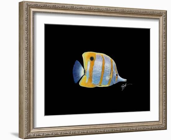 Copperband Butterfly-Durwood Coffey-Framed Giclee Print