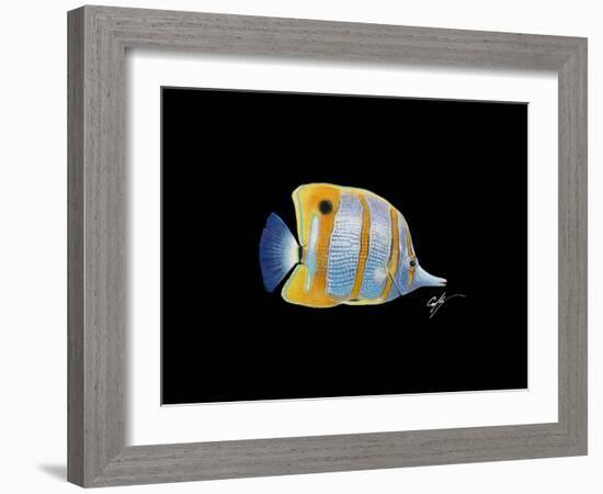 Copperband Butterfly-Durwood Coffey-Framed Giclee Print