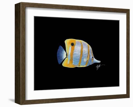 Copperband Butterfly-Durwood Coffey-Framed Giclee Print