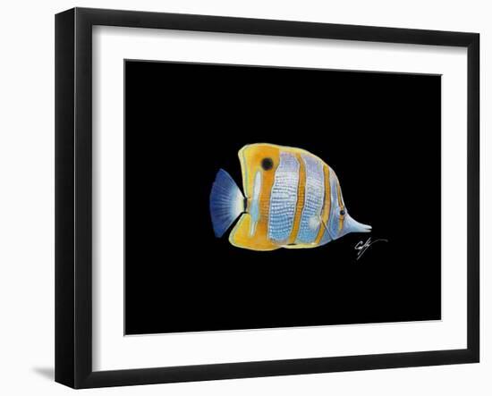 Copperband Butterfly-Durwood Coffey-Framed Giclee Print