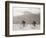 Coppi Bartali, 1949-Presse ’E Sports-Framed Photographic Print