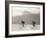 Coppi Bartali, 1949-Presse ’E Sports-Framed Photographic Print