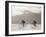 Coppi Bartali, 1949-Presse ’E Sports-Framed Photographic Print