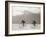 Coppi Bartali, 1949-Presse ’E Sports-Framed Photographic Print