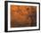 Coprates Region of Mars-Stocktrek Images-Framed Photographic Print