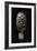 Coprinus Comatus (Shaggy Ink Cap, Lawyer's Wig, Shaggy Mane)-Paul Starosta-Framed Photographic Print