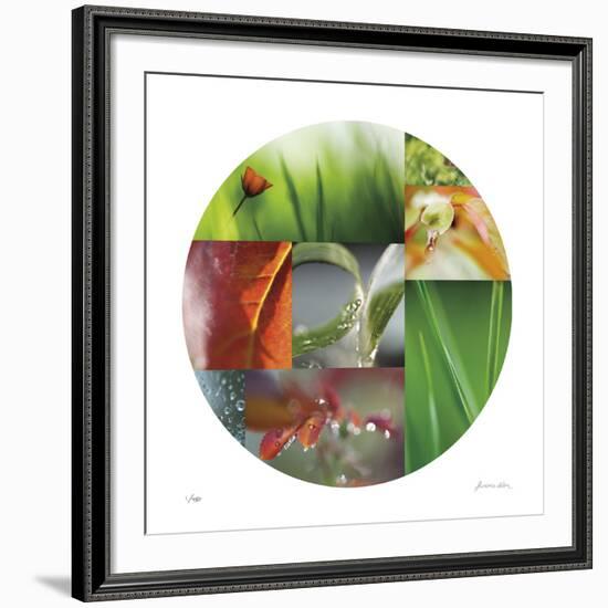 Coquelicot Circle-Florence Delva-Framed Giclee Print