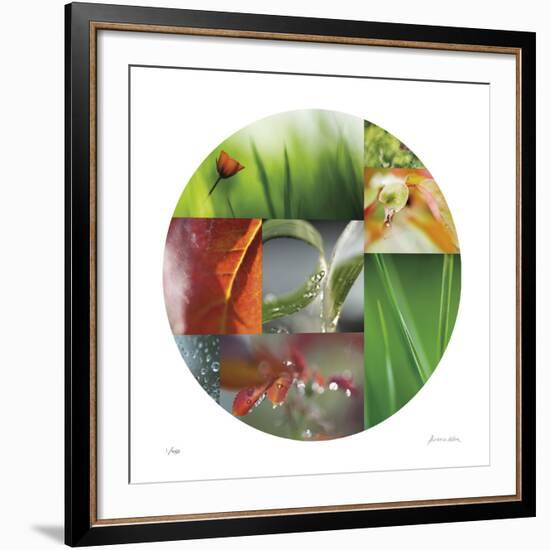 Coquelicot Circle-Florence Delva-Framed Giclee Print