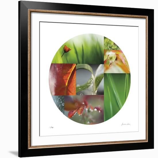 Coquelicot Circle-Florence Delva-Framed Giclee Print