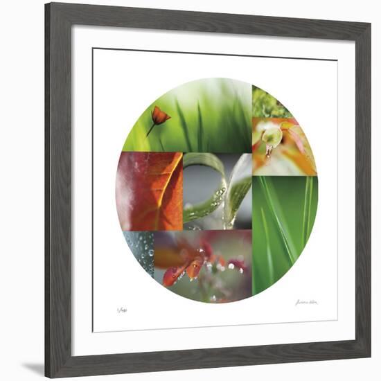 Coquelicot Circle-Florence Delva-Framed Giclee Print