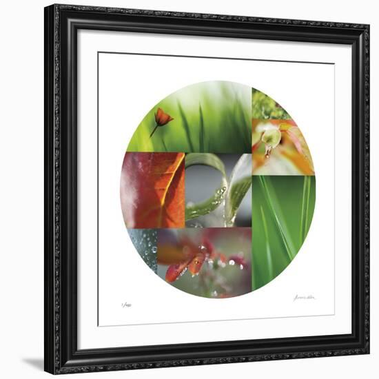 Coquelicot Circle-Florence Delva-Framed Giclee Print