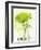 Coquelicot Vert I-Marthe-Framed Art Print