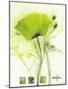 Coquelicot Vert I-Marthe-Mounted Art Print