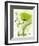 Coquelicot Vert II-Marthe-Framed Art Print