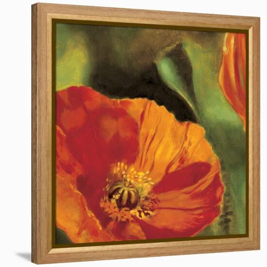 Coquelicots dans le soleil 2-Pierre Viollet-Framed Stretched Canvas