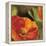 Coquelicots dans le soleil 2-Pierre Viollet-Framed Stretched Canvas