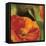 Coquelicots dans le soleil 2-Pierre Viollet-Framed Stretched Canvas