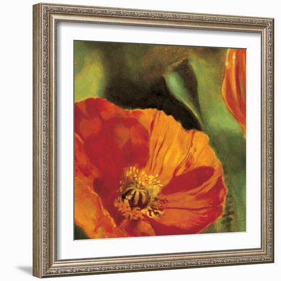 Coquelicots dans le soleil 2-Pierre Viollet-Framed Art Print